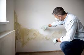 Mold Prevention & Removal